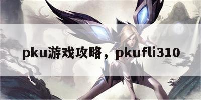 pku游戏攻略，pkufli310