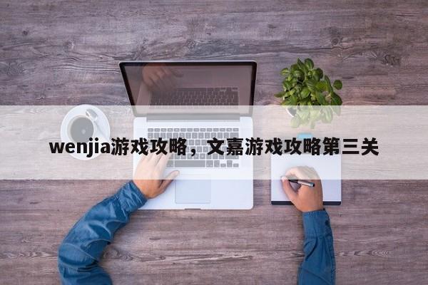 wenjia游戏攻略，文嘉游戏攻略第三关