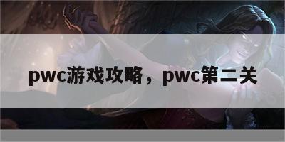 pwc游戏攻略，pwc第二关