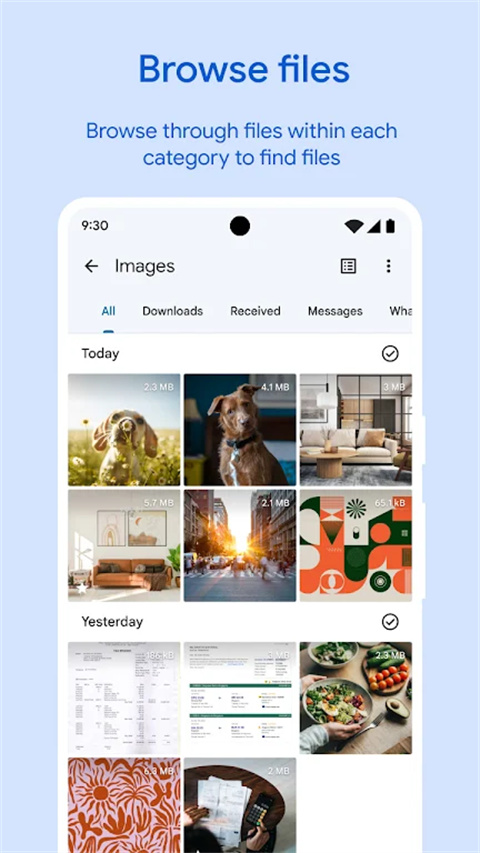 Google文件极客app(Files by Google)