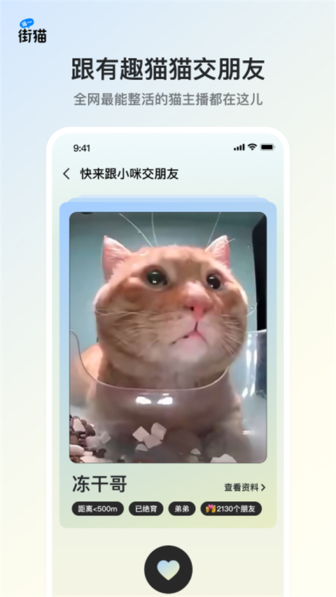 哈啰街猫app