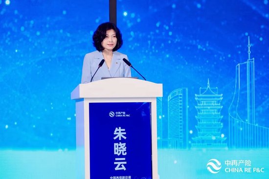 2024年中国财产再保险市场研讨会召开——财产险市场呈现高质量发展态势，再保需求稳中有增