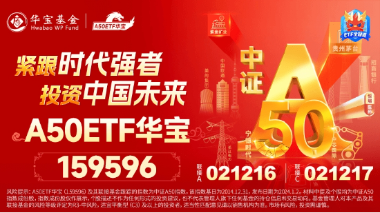 “漂亮50”力挺A股！宁王茅台涨超2%，中兴通讯一度涨停！A50ETF华宝（159596）摸高1.65%， 换手率断层领先