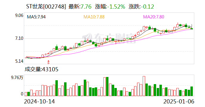 ST世龙：聘任潘妙华为财务总监