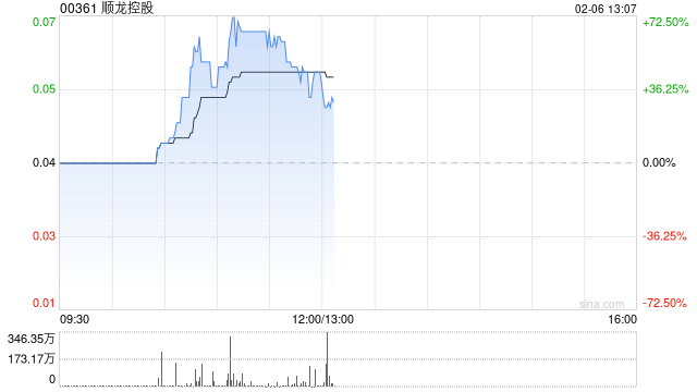 顺龙控股现涨65% 接管人已接获入围潜在买家的超过一份经调整不具约束力要约