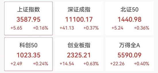 “牛市旗手”，涨停！