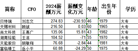 湖南裕能财务总监王洁大专学历年薪104.5万，比上年降71万