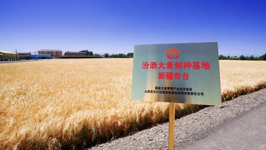 跨越五千里，“汾酒第一车间”一粒种子的产业价值革命样本