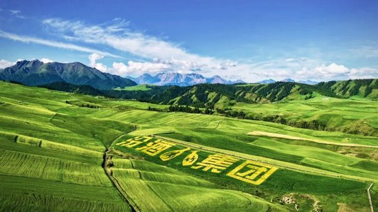 跨越五千里，“汾酒第一车间”一粒种子的产业价值革命样本